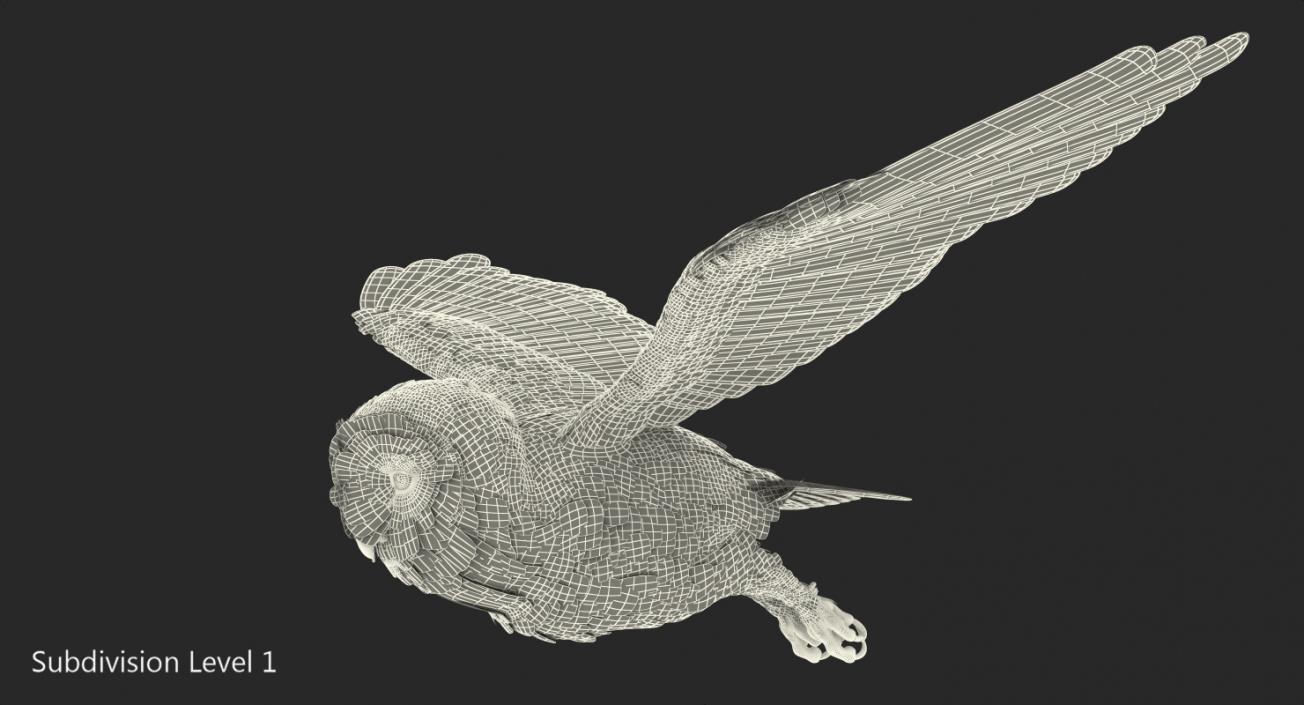 3D model Barn Owl Rigged