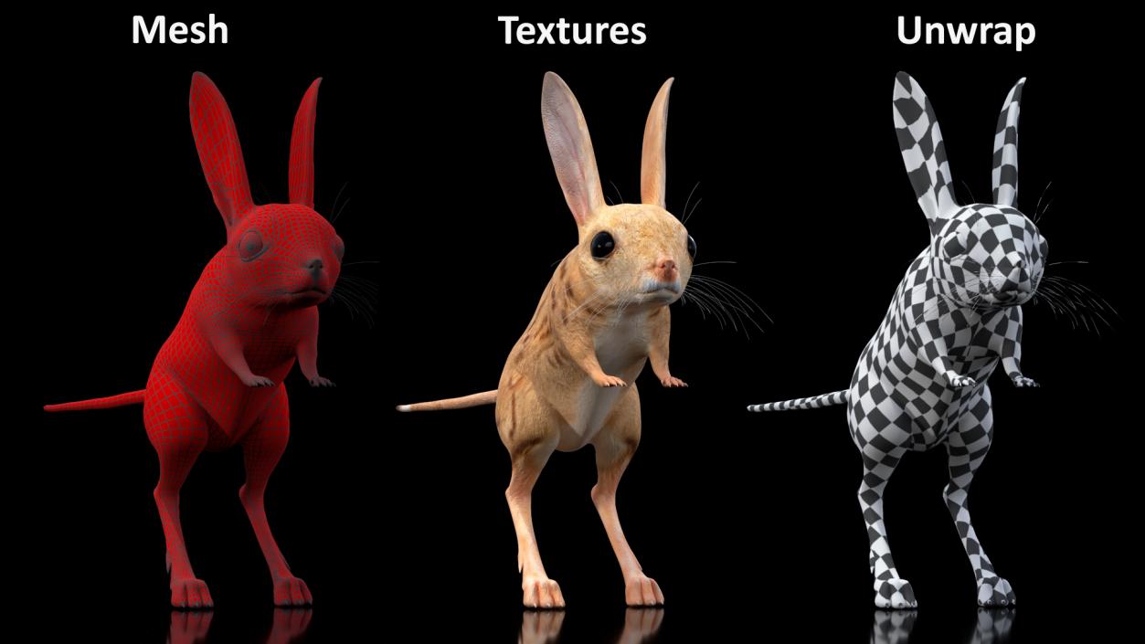 3D model Desert Animals Collection