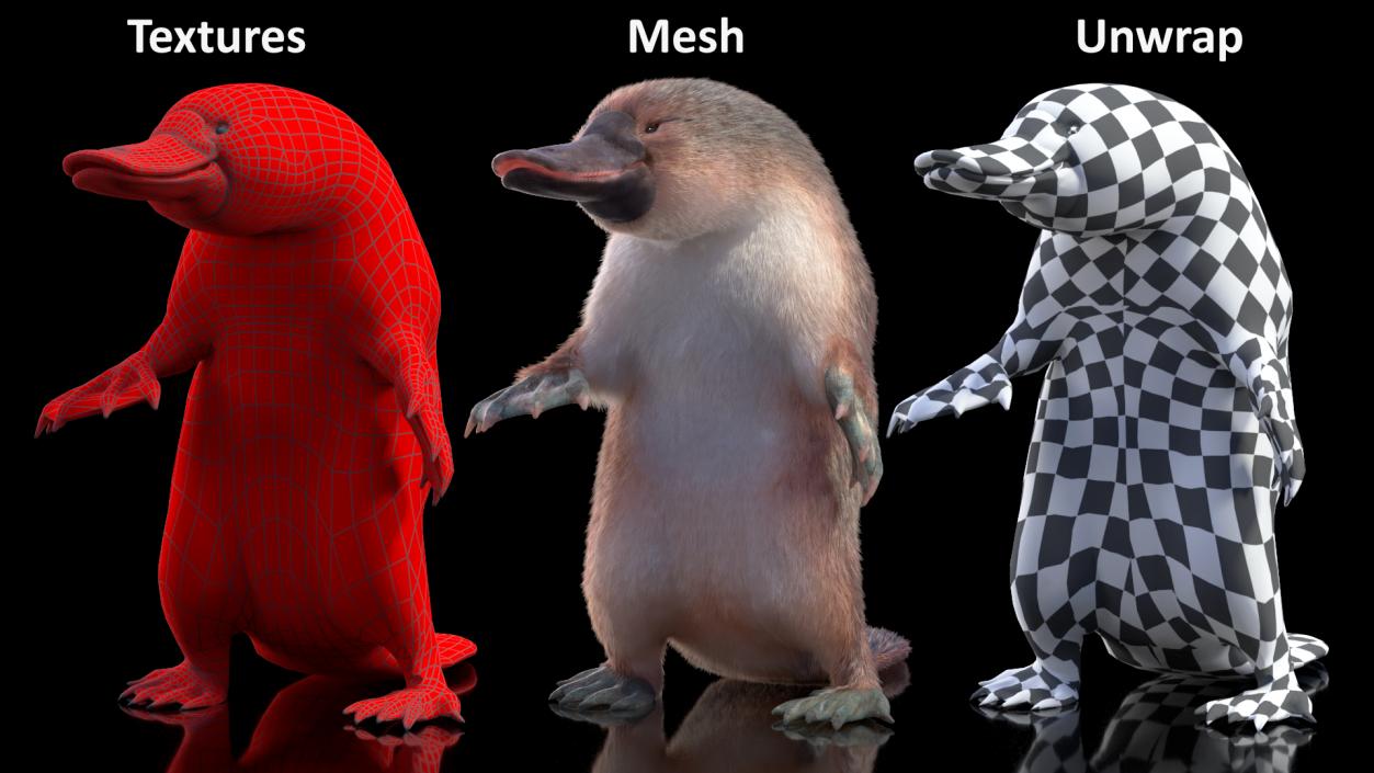 3D Platypus Standing Fur