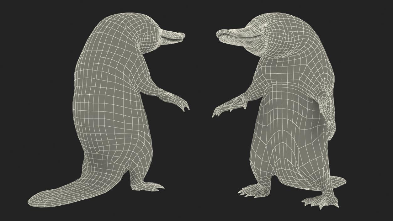 3D Platypus Standing Fur