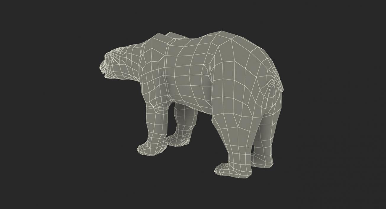 3D model Arctic Animals Collection