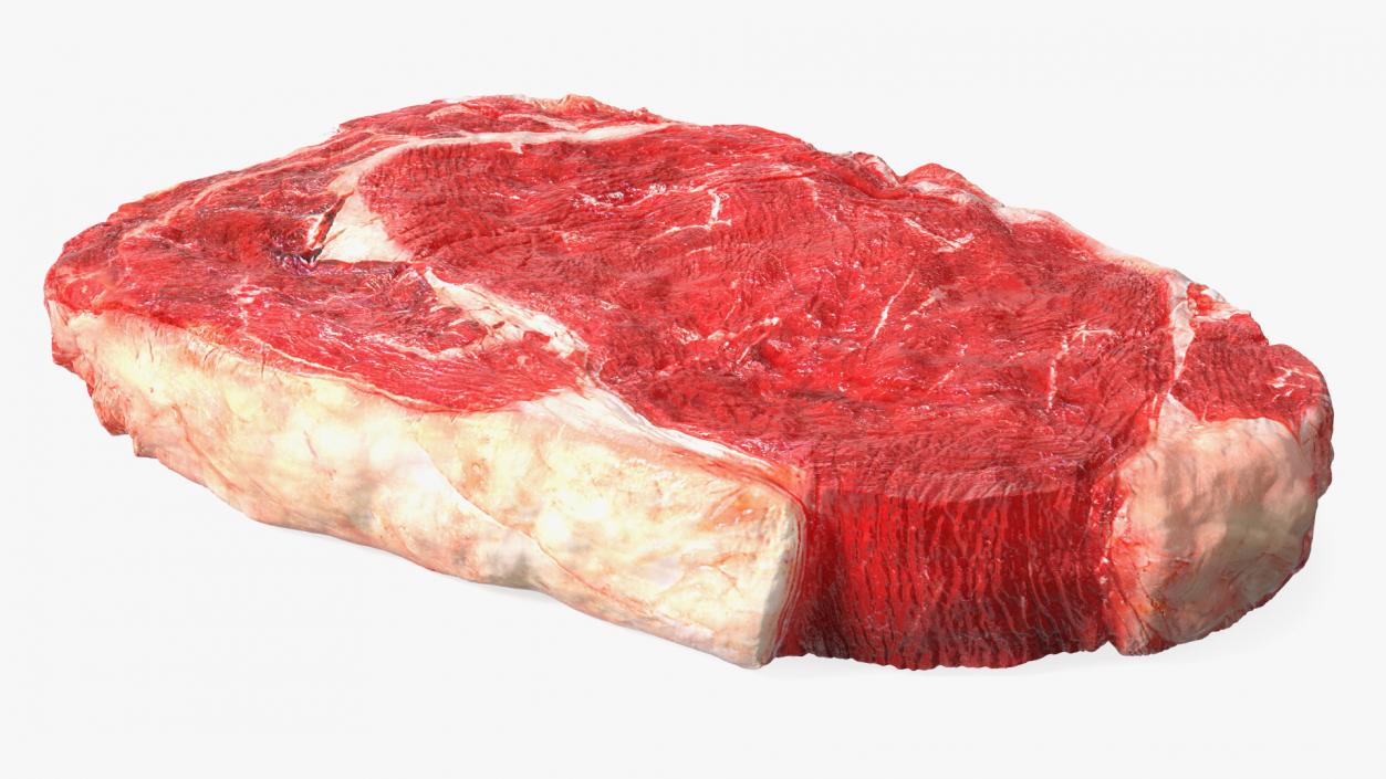 3D Meat Slice Fresh