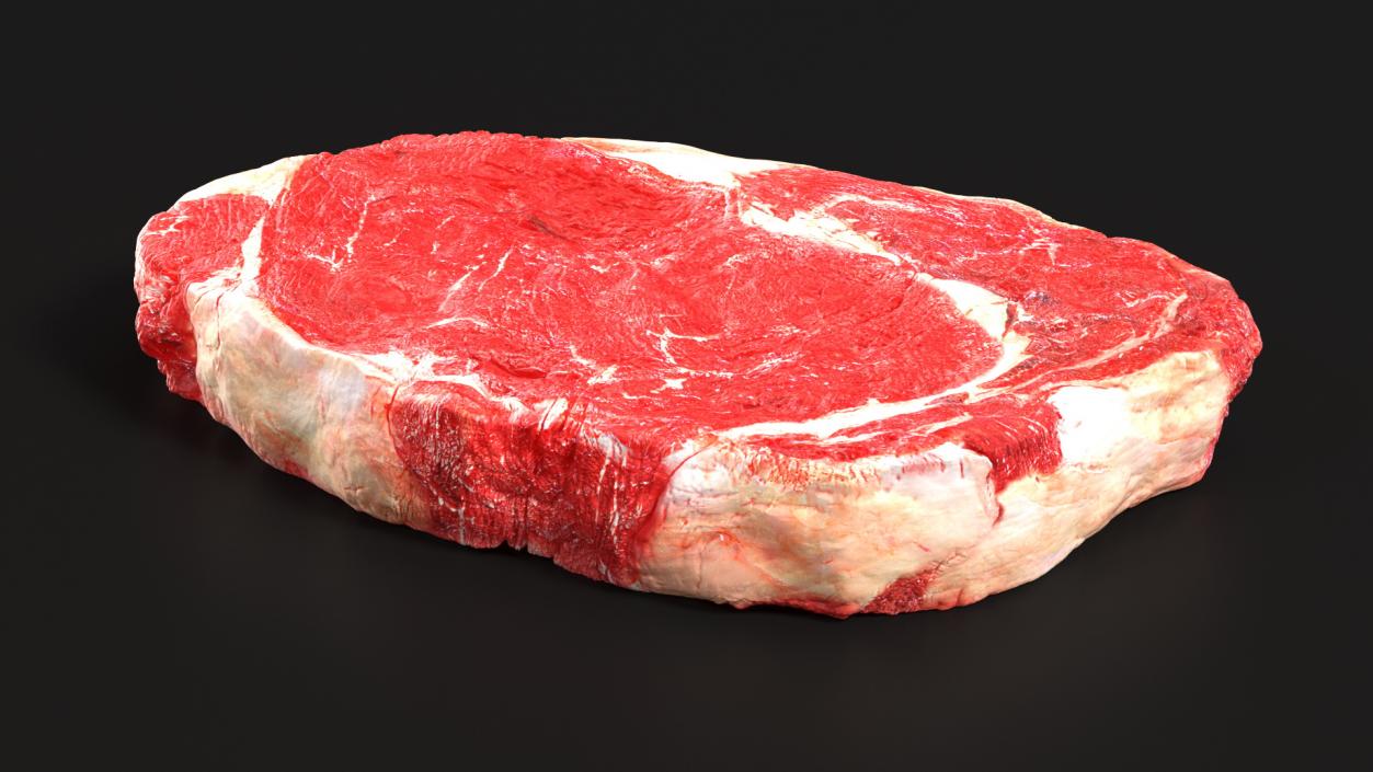 3D Meat Slice Fresh