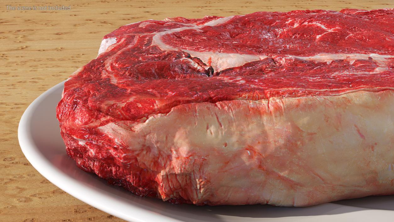 3D Meat Slice Fresh