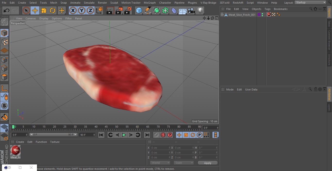 3D Meat Slice Fresh