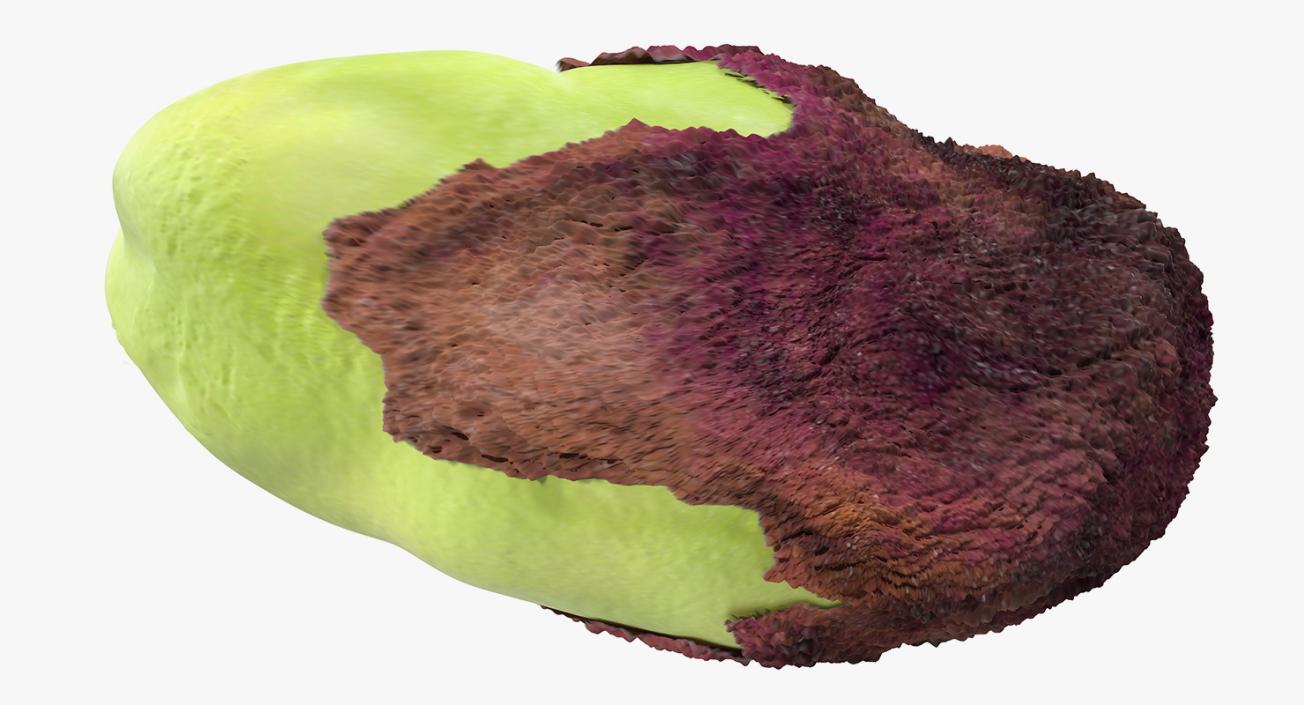 Pistachio Peel 3D model