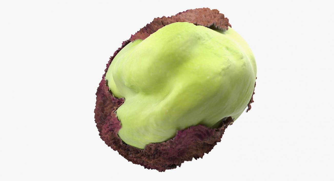 Pistachio Peel 3D model