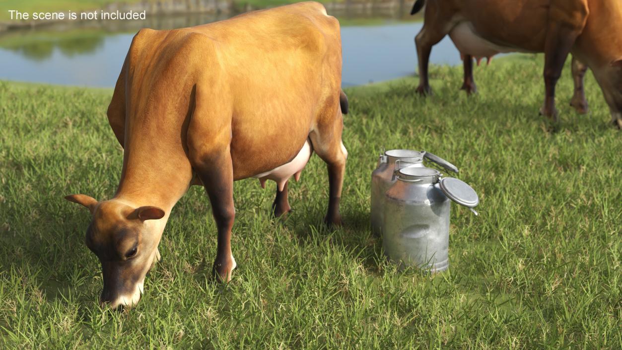 Mini Cow and Milk Bucket 3D model