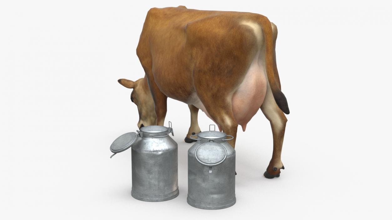 Mini Cow and Milk Bucket 3D model