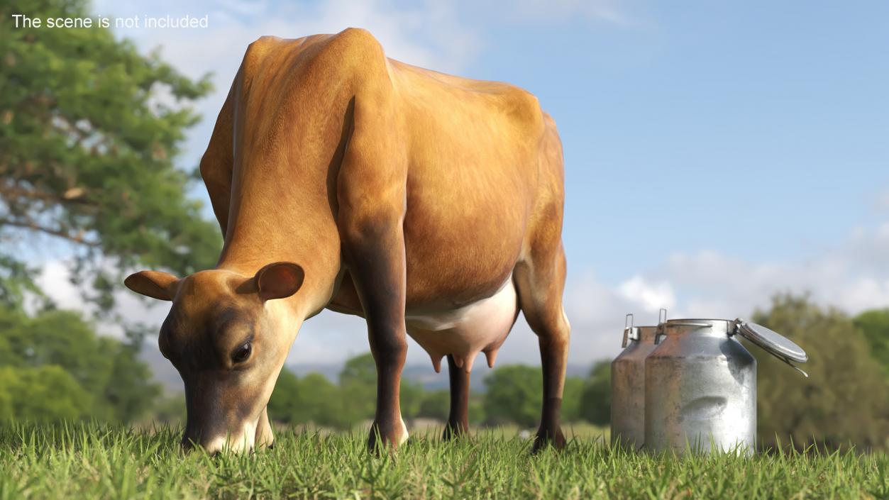 Mini Cow and Milk Bucket 3D model