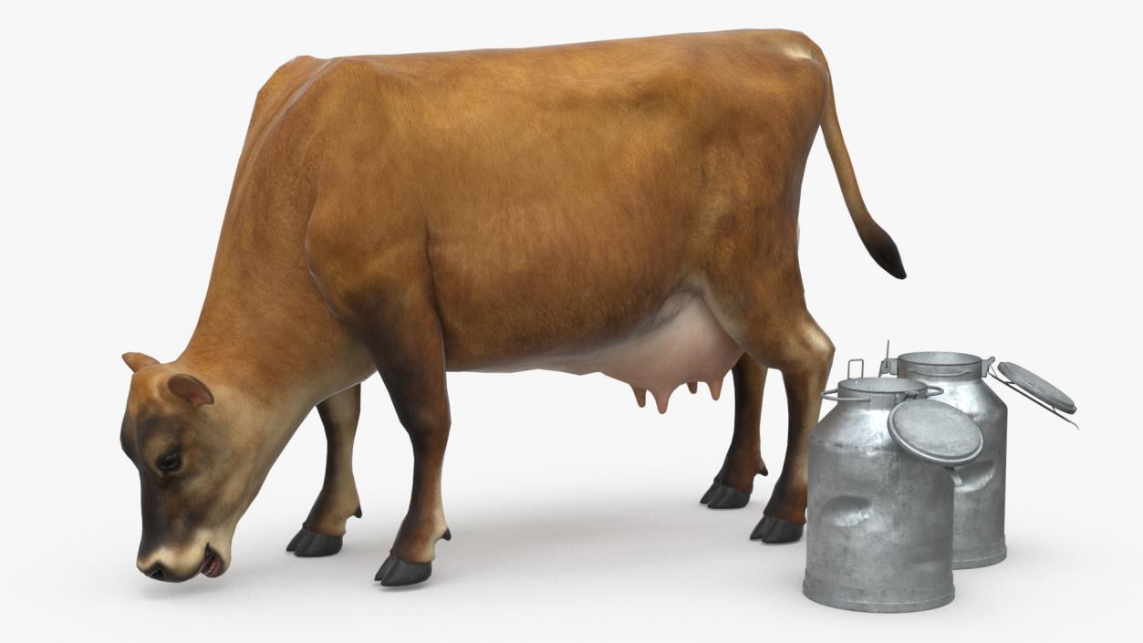 Mini Cow and Milk Bucket 3D model