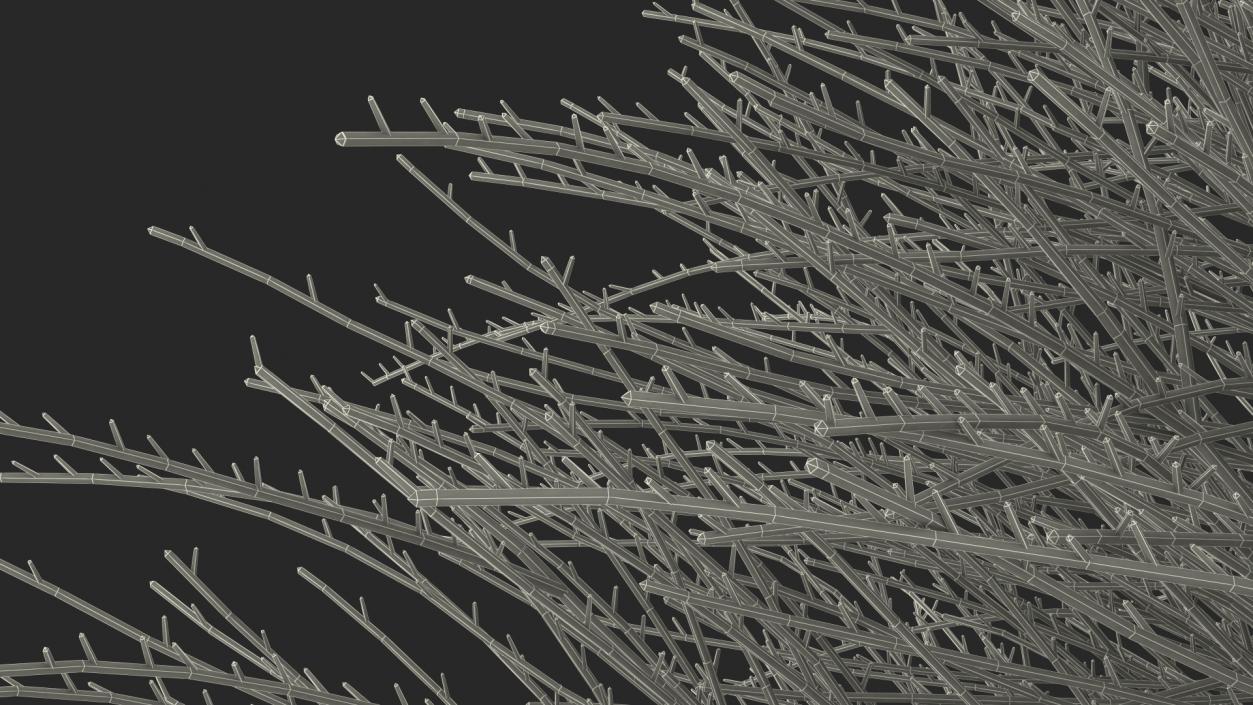 3D model Shrub Bark