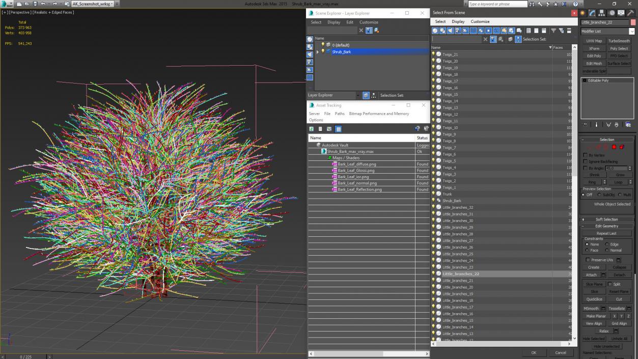 3D model Shrub Bark