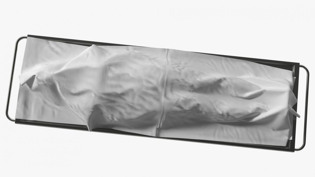 3D Dead Man Body Covered with White Sheet model