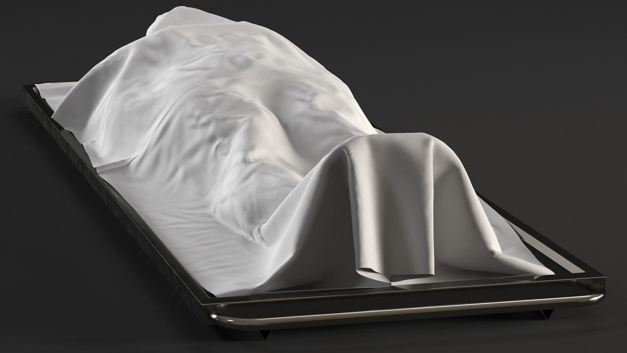 3D Dead Man Body Covered with White Sheet model