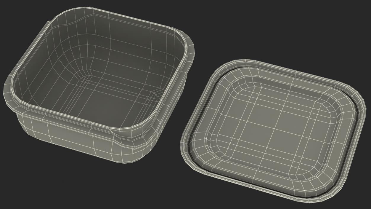 3D Square Plastic Food Container with Lid model