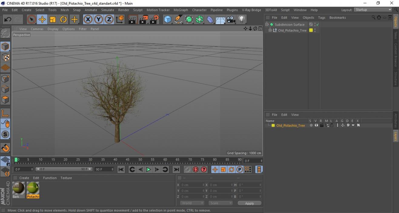 3D Old Pistachio Tree model