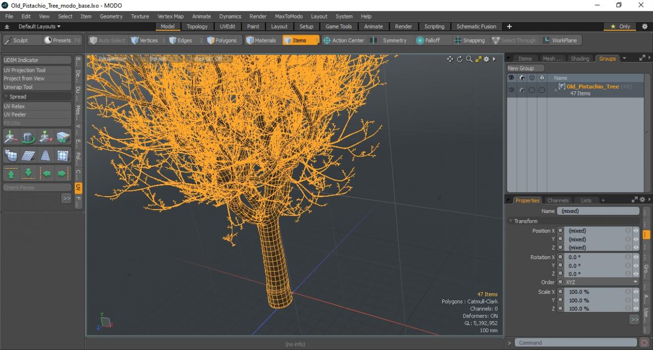 3D Old Pistachio Tree model