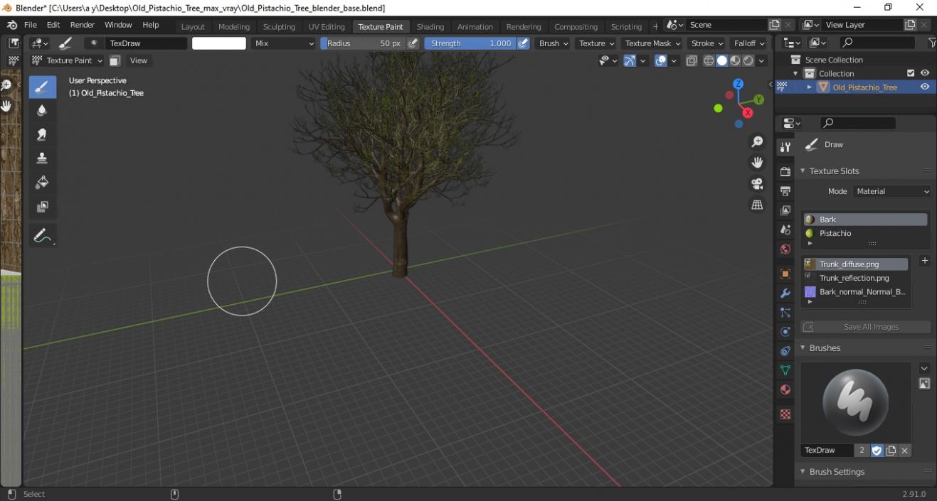 3D Old Pistachio Tree model