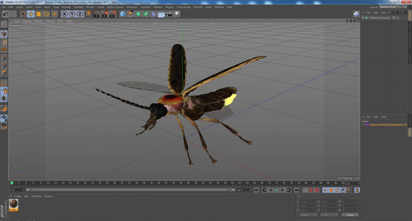 Eastern Firefly Glowing Basic Pose 3D model