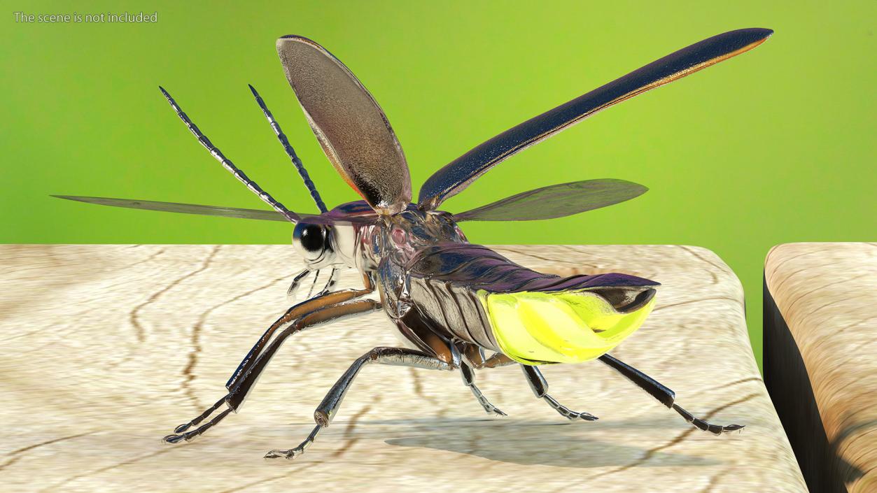 Eastern Firefly Glowing Basic Pose 3D model