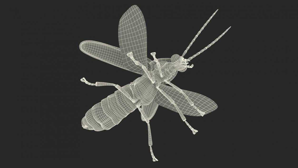 Eastern Firefly Glowing Basic Pose 3D model