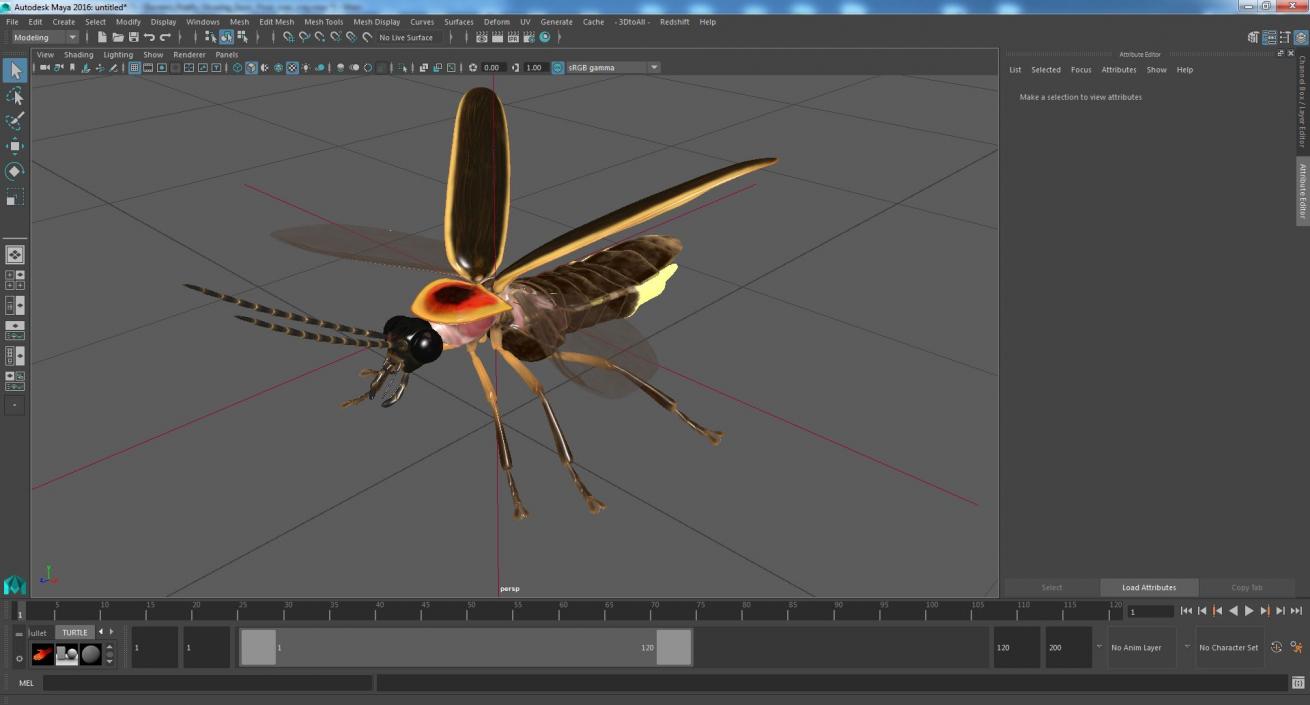 Eastern Firefly Glowing Basic Pose 3D model