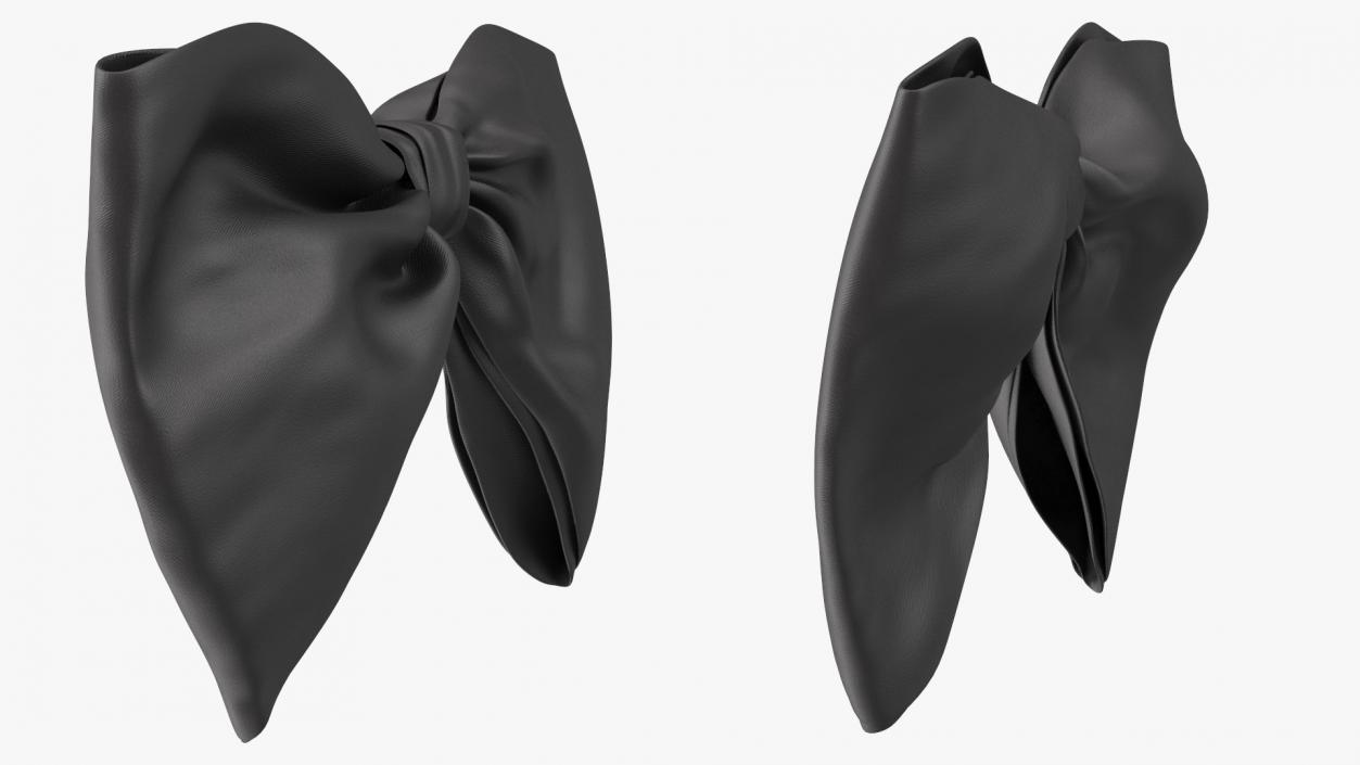 3D Bow Tie Black model