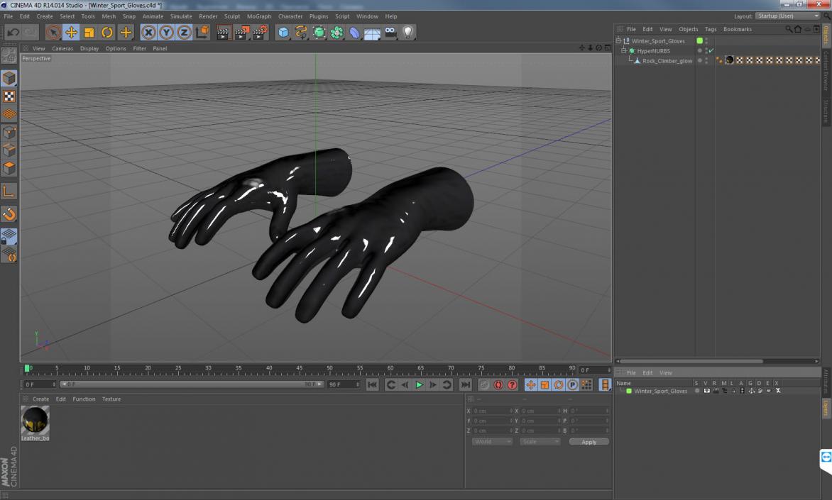 Winter Sport Gloves 3D model