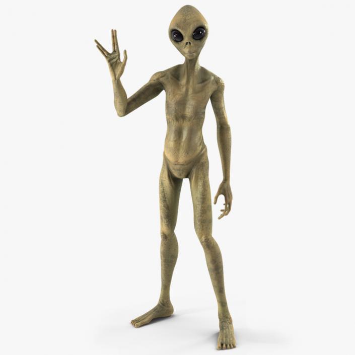 Humanoid Alien Creature Rigged for Maya 3D model