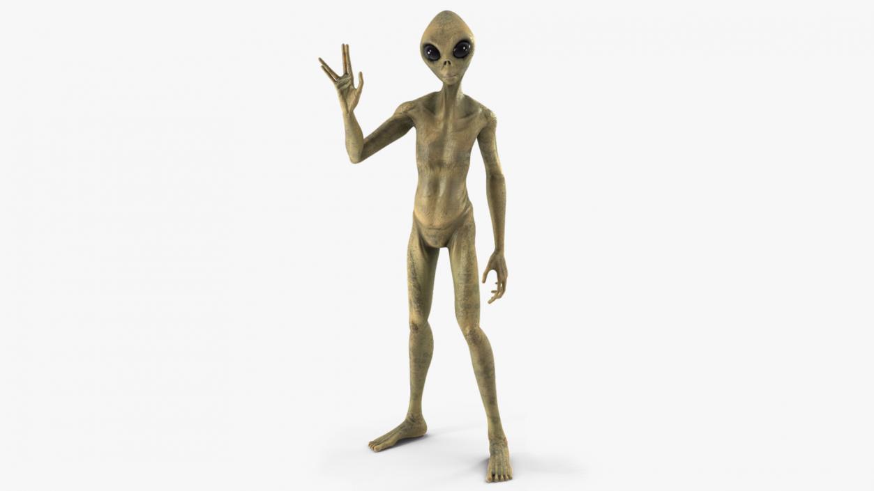 Humanoid Alien Creature Rigged for Maya 3D model