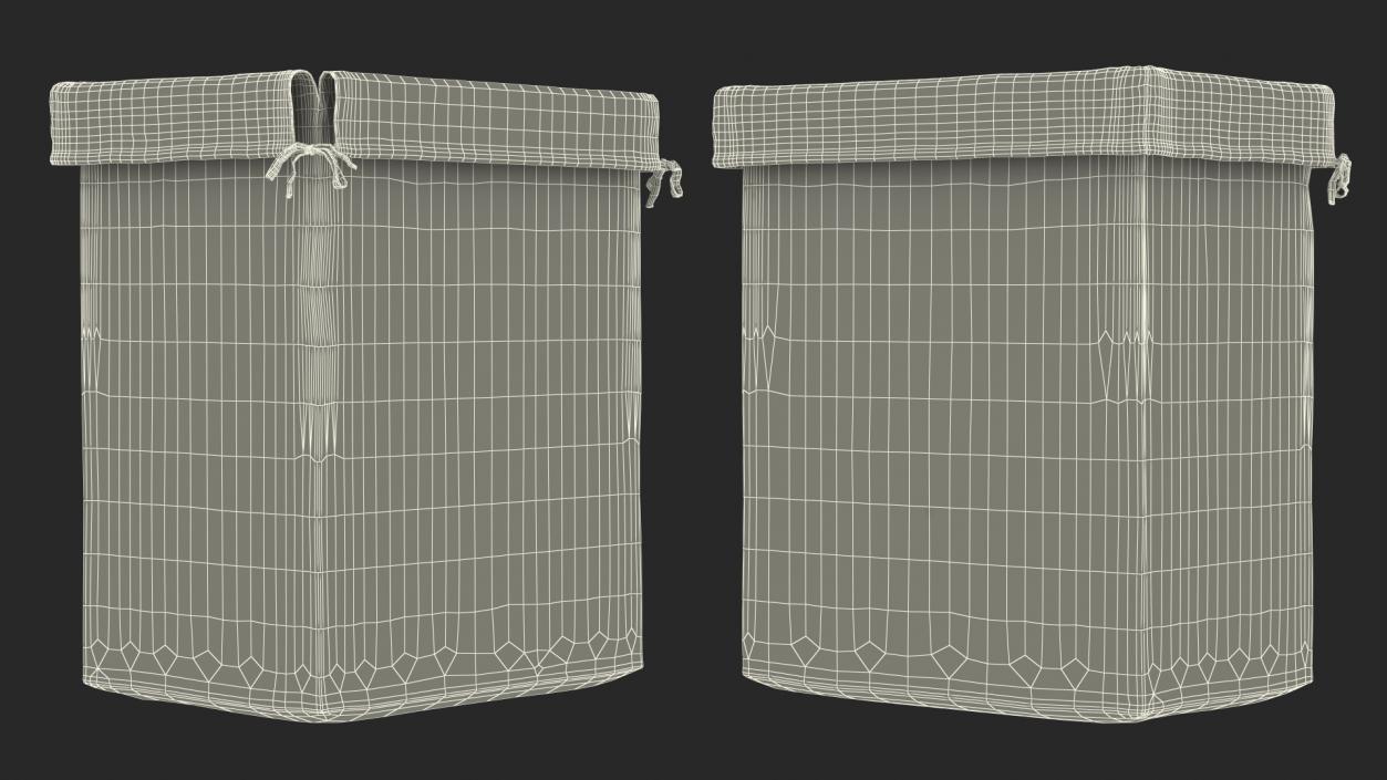 3D model Laundry Hamper Liner