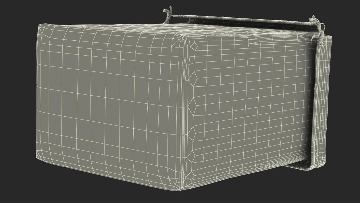 3D model Laundry Hamper Liner