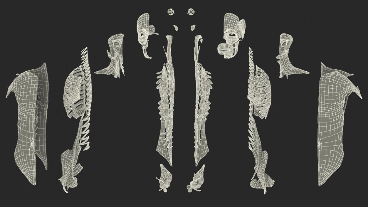 Young Male Muscle System 3D model