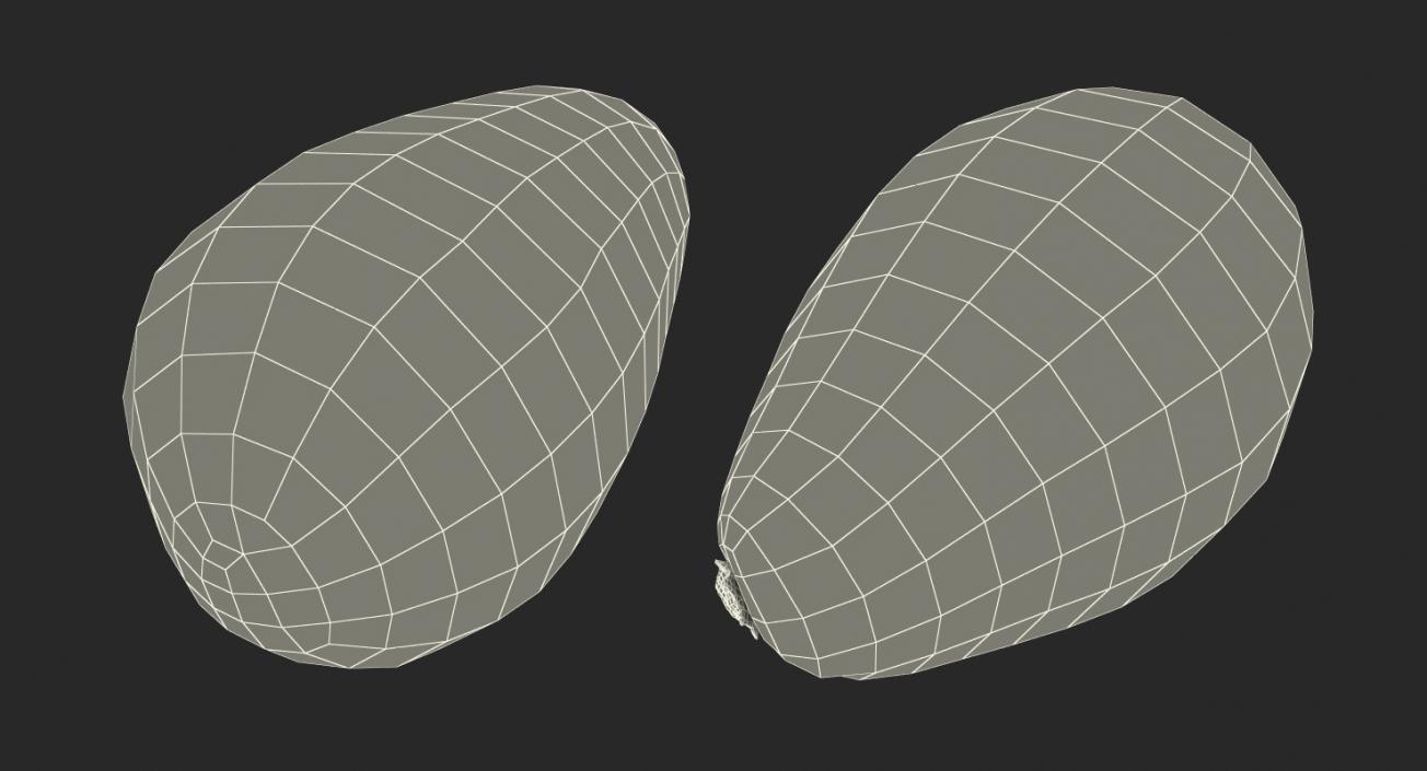 3D Whole Avocado model