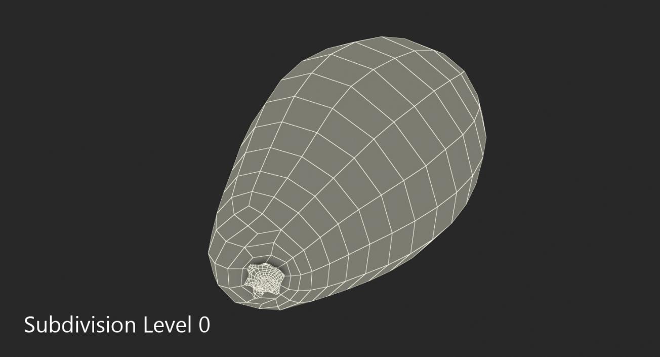 3D Whole Avocado model