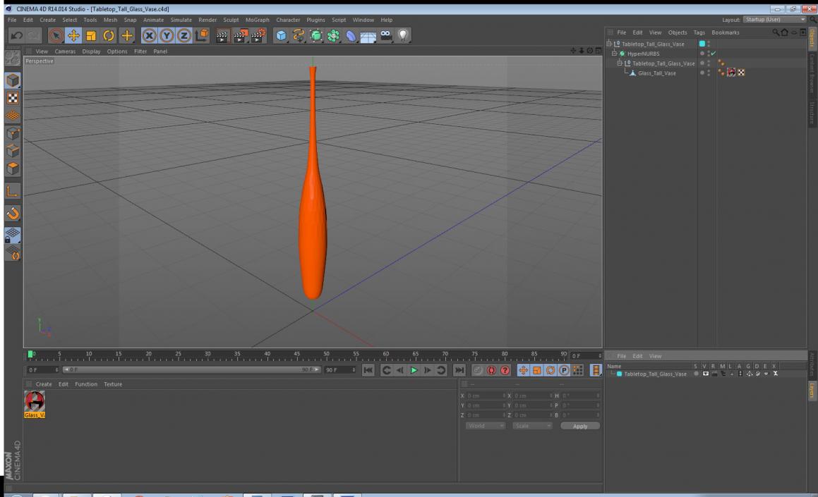 Tabletop Tall Glass Vase 3D model