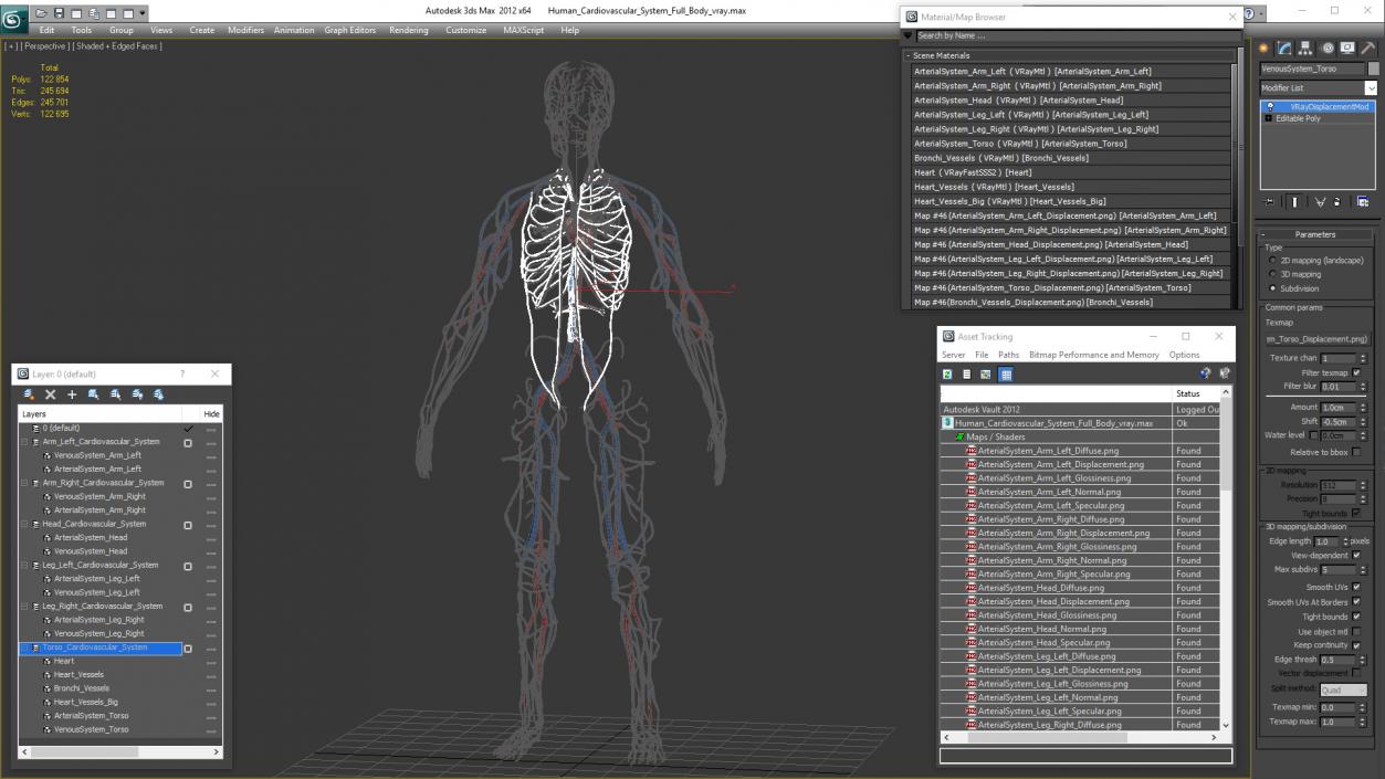 Human Cardiovascular System Full Body 3D