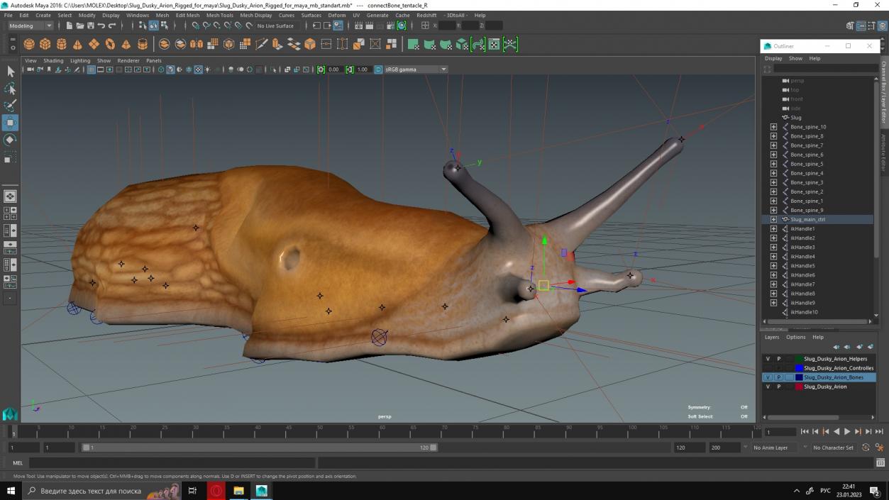 Slug Dusky Arion Rigged for Maya 3D