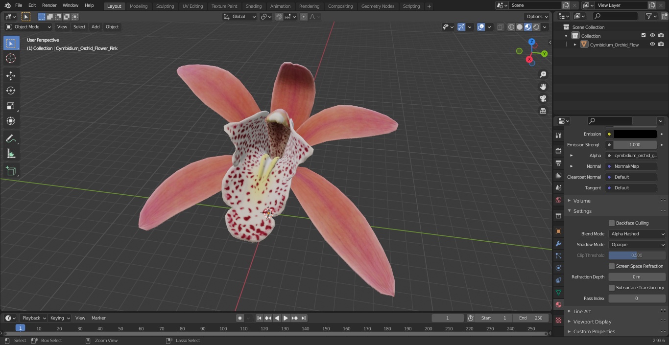 3D Cymbidium Orchid Flower Pink model