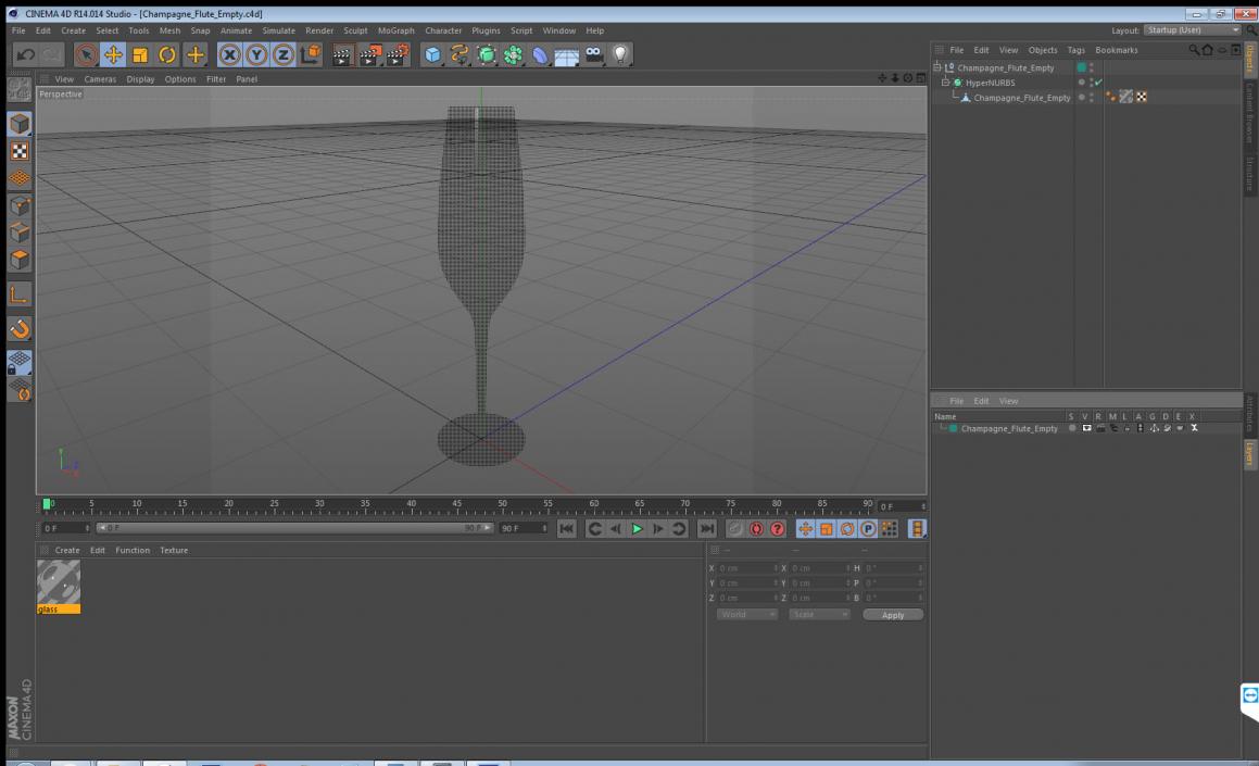 3D Champagne Flute Empty