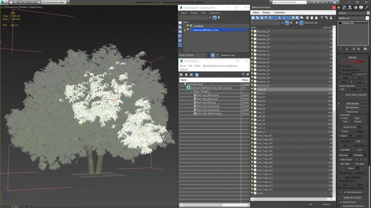 American Elderberry Tree 3D model