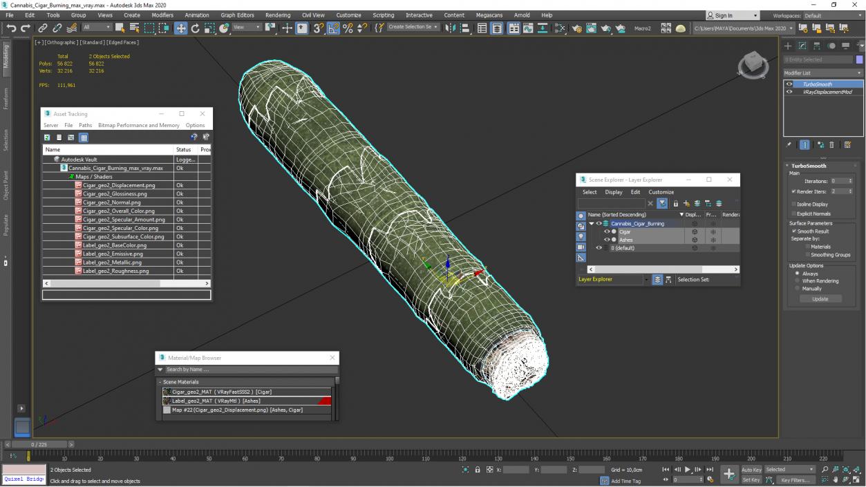 Cannabis Cigar Burning 3D