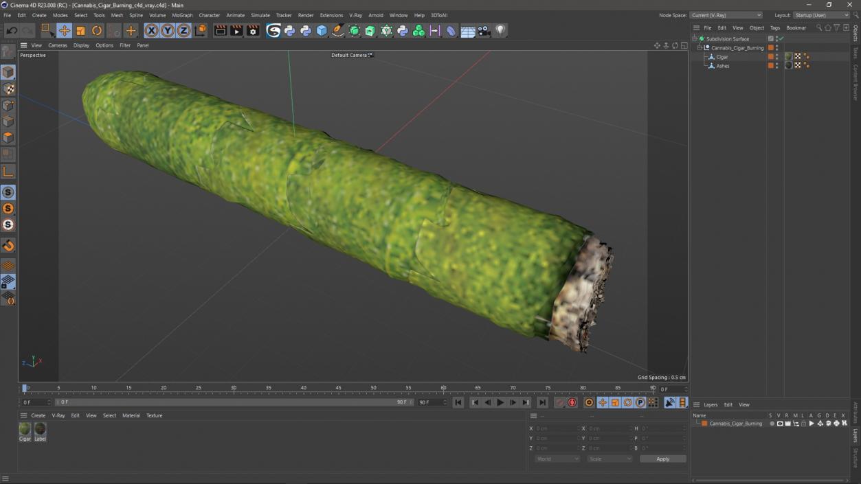 Cannabis Cigar Burning 3D