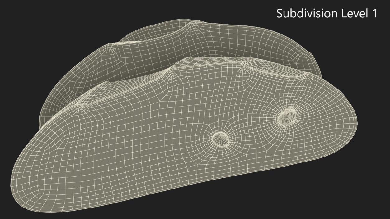 3D model Sliced Round Bread 2