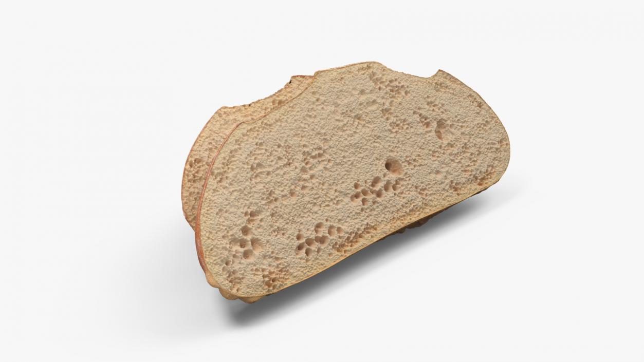 3D model Sliced Round Bread 2