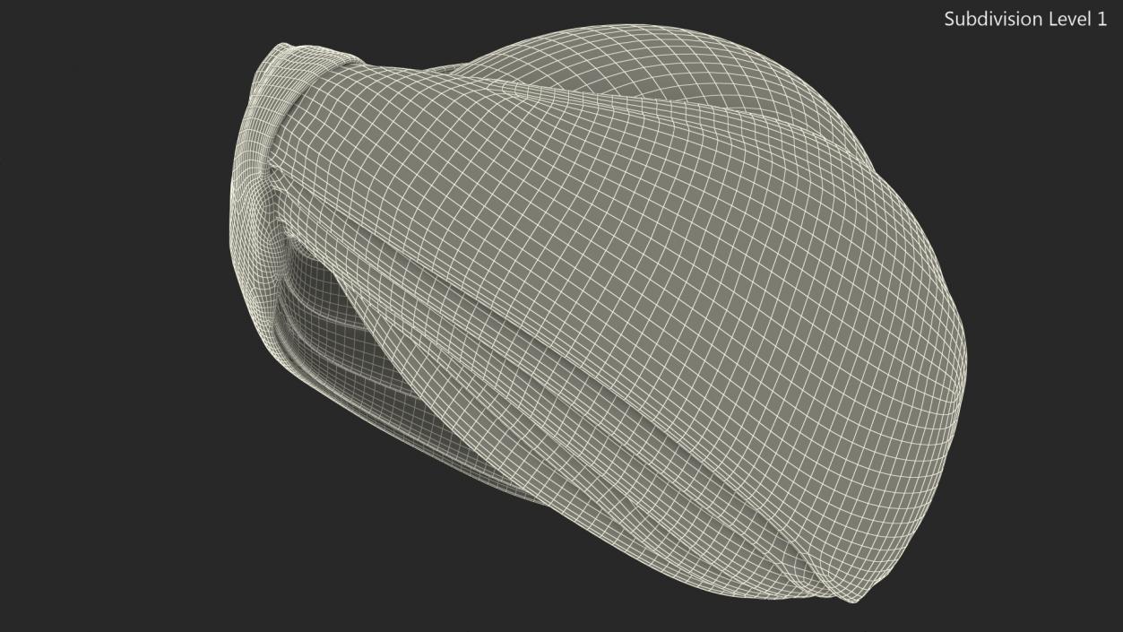 3D Turban Orange model