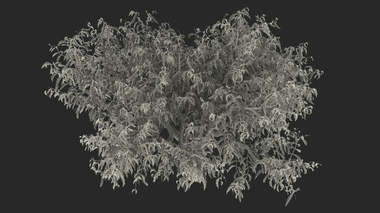 3D model Summer Trees Collection 7