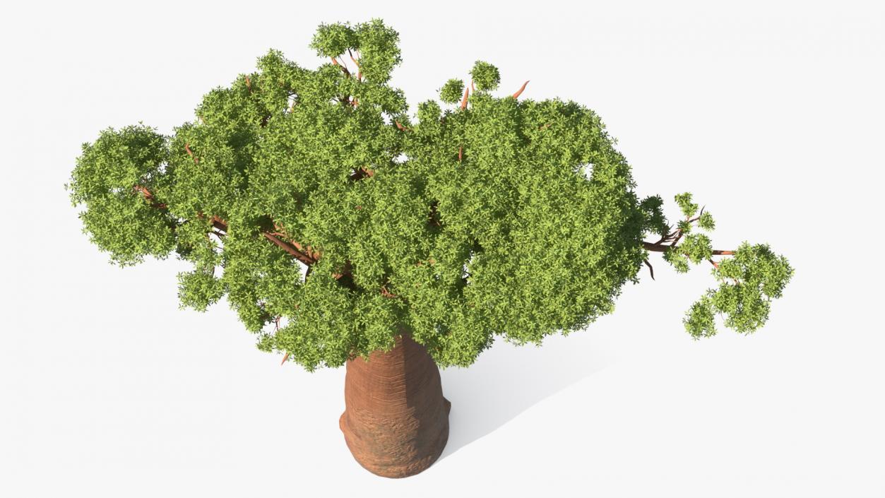 3D model Summer Trees Collection 7