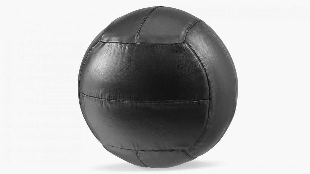 20 LB Fitness Medicine Ball 3D